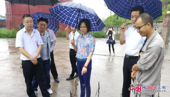 唐燕在巡察时情景近日,南充市级河长唐燕副市长冒着密密秋雨,带领市