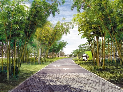 展现“熊猫百态” 打造“巴蜀园林” 熊猫大道绿道年底竣工