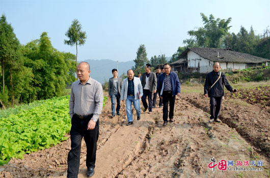 营山县各乡常住人口_营山县青山乡图片(3)