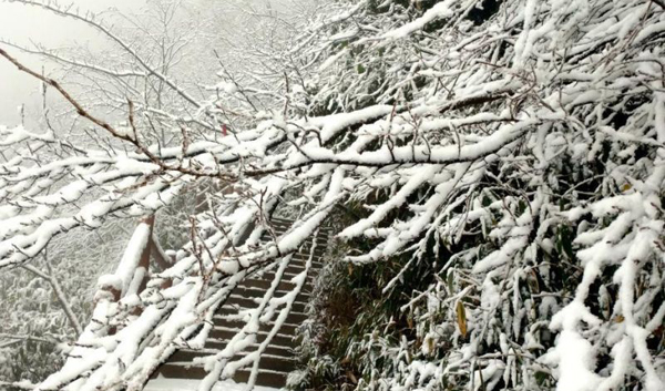 粉妝玉砌，宛如仙境！快來，八臺山景區(qū)看雪！