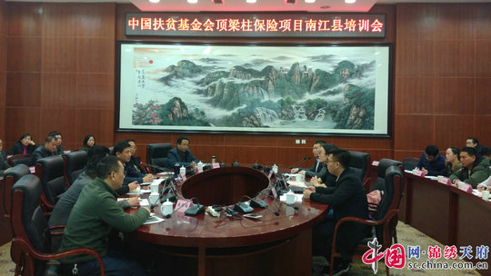 中国扶贫基金会在南江举行顶梁柱公益保险项目培训