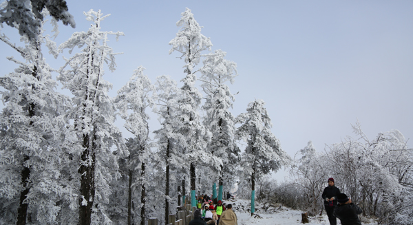 2017西嶺雪山連降幾場大雪 迎來最佳賞雪期　走起走起！