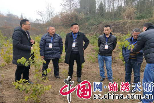 射洪县林业局党组书记,局长王家伦带领班子成员为南岳村送去核桃苗