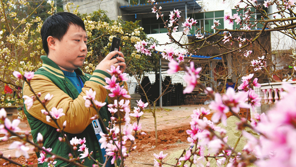 成都龍泉山上追花人 賞花讀花只為游客盡興歸