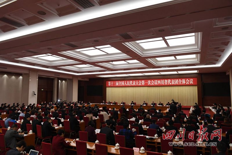 四川代表团举行全体会议和小组会议审议《中华人民共和国宪法修正案（草案）》