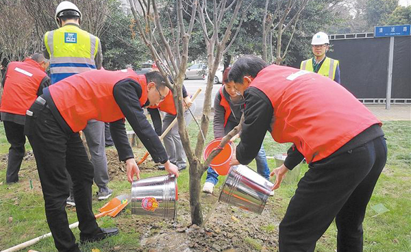 50名市民代表 為三環(huán)路植下一片綠