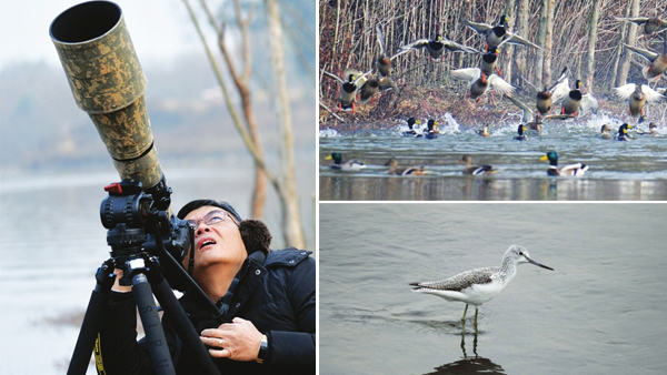 成都青龙湖边用镜头“打鸟”的城市猎人