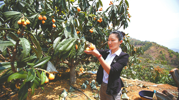 女大學生返鄉(xiāng)創(chuàng)業(yè) 將攀枝花枇杷賣到加拿大