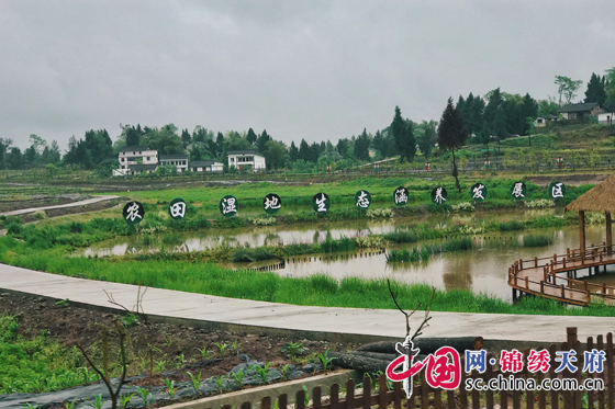 南充市第十届乡村文化旅游节暨营山县第三届旅游文化节开幕