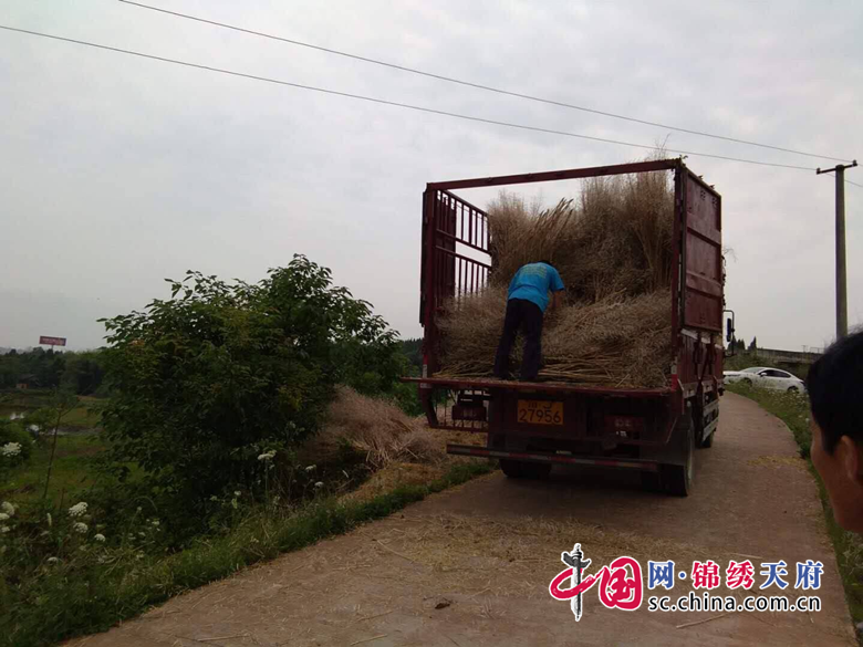 船山區(qū)龍鳳鎮(zhèn)“三舉措”做好秸稈禁燒工作