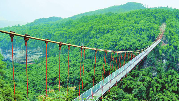 四川竹景区：有的“吃不下”有的“吃不饱”怎么破