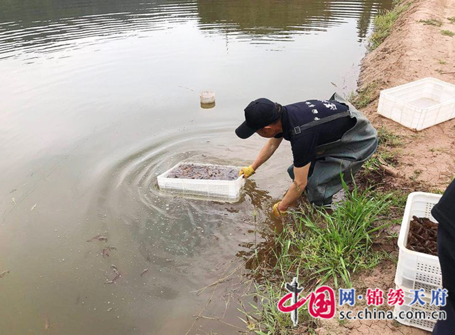 蓬溪縣文井鎮(zhèn)：特色產(chǎn)業(yè)遍地開花