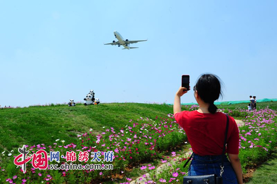 双流区航域景观"空港花田"成为成都新地标