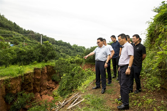 徐成良调研彭山区,仁寿县地质灾害防治和土地综合整治