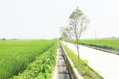 路成网,田成方,渠相连 重整田畴丰粮仓