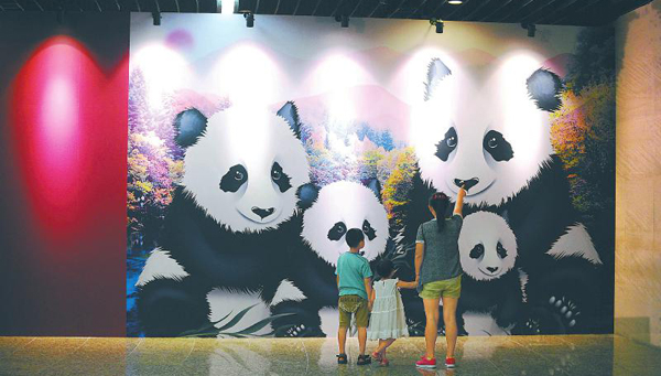 “熊猫中国·四川主题展”探馆 带你看“多面”大熊猫