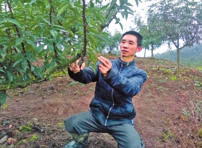 三次申请退出低保 如今成致富带头人