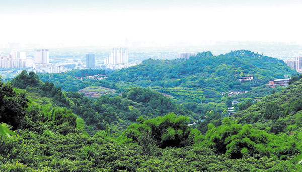 成都：“城市绿心”实现“增绿增景”近4万亩