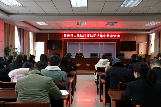 全院干警集中观看了以夏喜,何映江违法违纪案件为原型的警示教育片