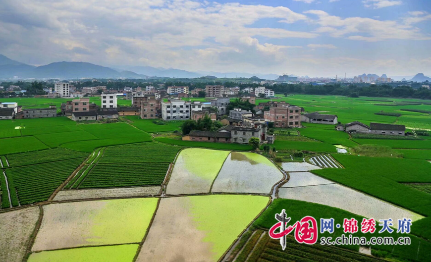 遂寧市農業農村局：堅持農業農村優先發展 打造鄉村振興“遂寧樣板”