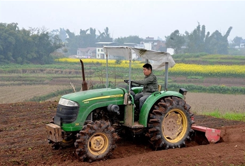 免费提供种子技术 泸县公司+基地+农户定单种植高粱