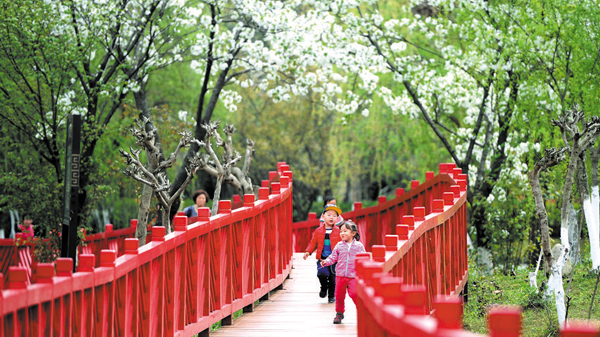 成都：花重锦官城 锦城亦重花