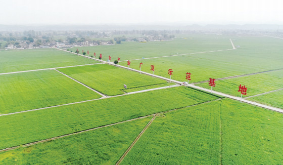 四川现代粮食产业广汉示范基地