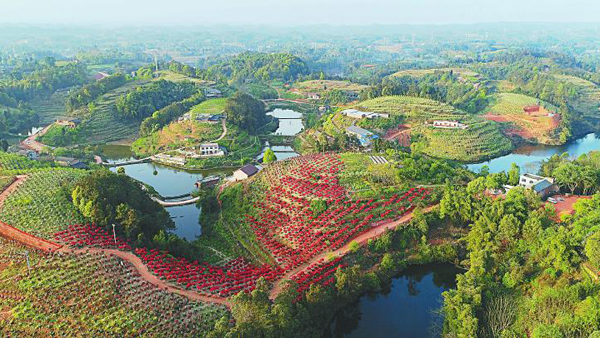 今年春季自贡“网红打卡地” 吸引众多游客
