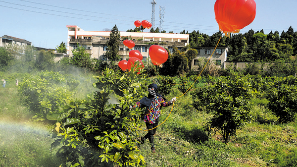 田间为啥飘起红气球？人民日报向全球华人宣传成都喷洒农药“土发明”