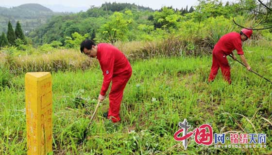 南充嘉能天然气公司开展"青春心向党·青年正能量"春日除草行动