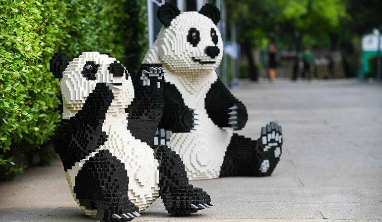 2019丹麦驻华大使馆“大熊猫的童话之旅”主题开放日活动圆满举行