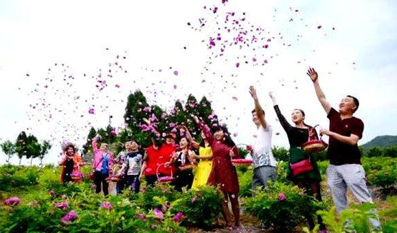 西充县凤鸣镇第二届玫瑰文化旅游节将于5月24日开启