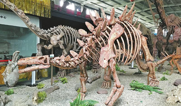成都崇州 有座化石版的“侏罗纪公园”