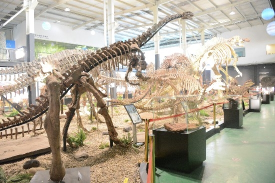 化石版的“侏羅紀公園”