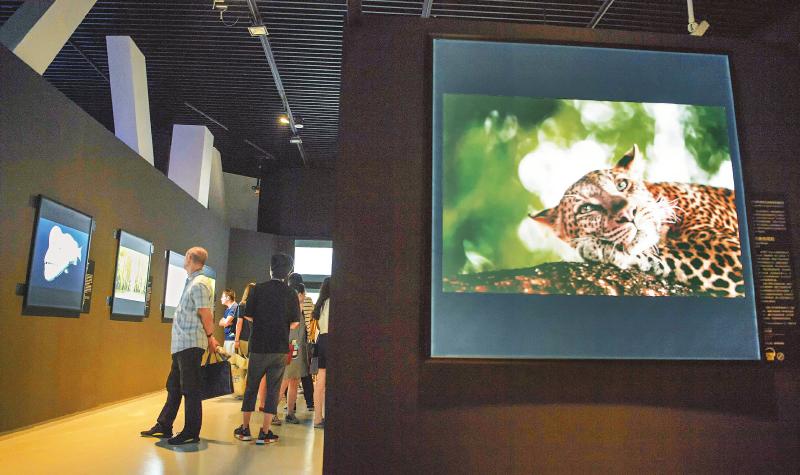 全球顶级野生动物摄影展登陆成都