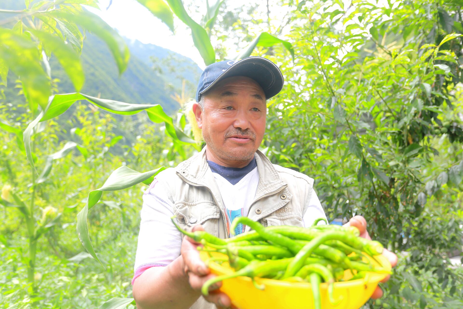 援藏紀行·遂理一家親|藏民張雲華的致富路