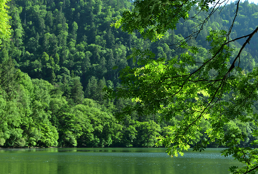 九寨沟县如火如荼开展河湖长制：让山更绿，水更清！