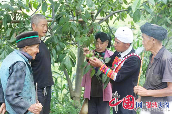 雅安市人大开展代表助推乡村振兴“四个我”活动