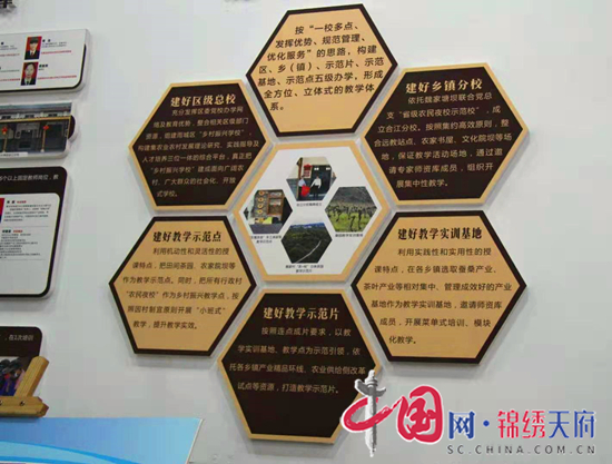 认真履职带头示范 合江镇人大代表与乡村振兴