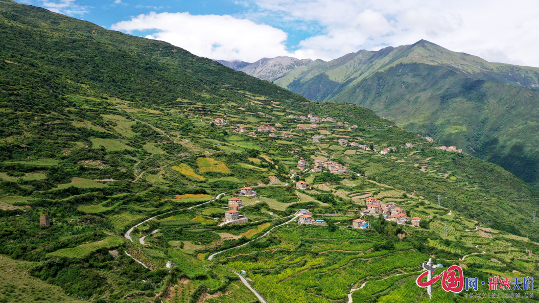 黑水县日多村高半山有了致富路