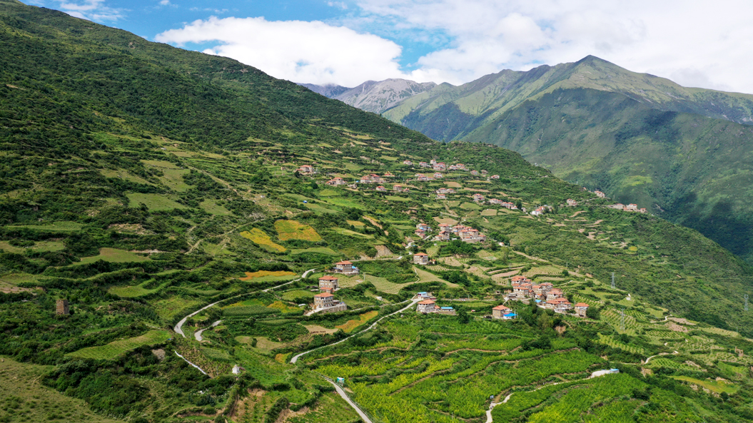 黑水县日多村：高半山有了致富路