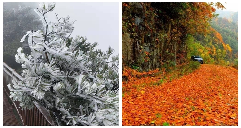 巴中光雾山下雪了！红叶+初雪，快来看“冰火两重天”