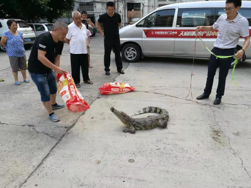 遂寧開展野生動物保護聯(lián)合專項執(zhí)法行動