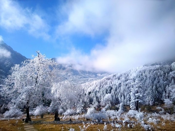 硗碛飘雪 美景如画