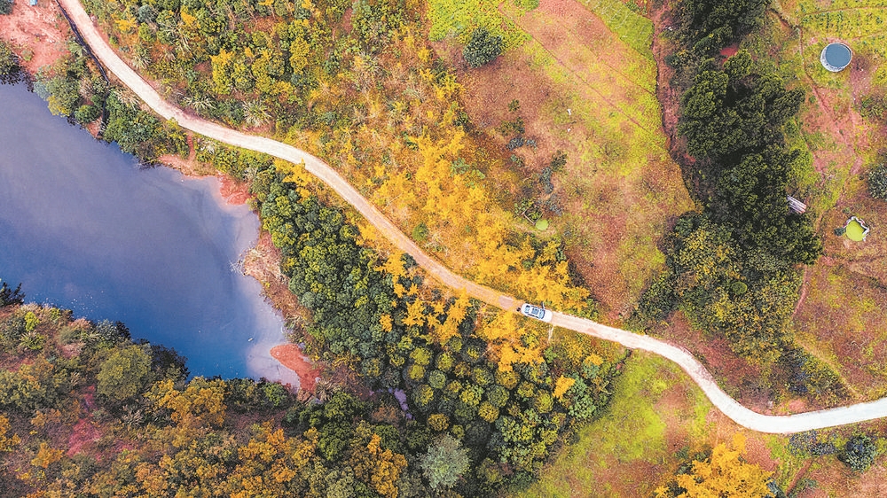 龙泉山寻景：如此寻常，如此动人