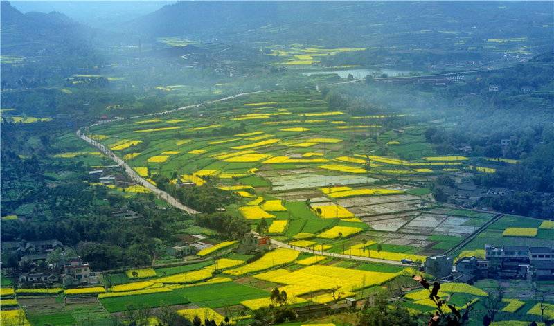 四川彭山：整治农村人居环境 绘就美丽乡村画卷